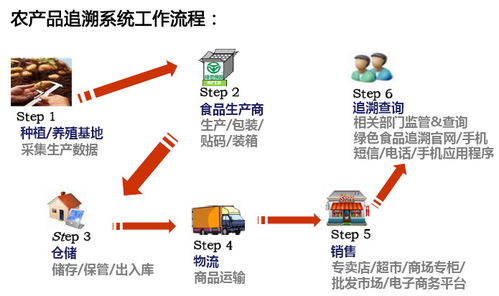 筑牢食品安全防線 軟硬件協同研發的策略與路徑