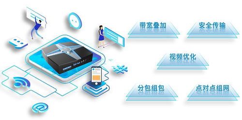 聚合路由器軟硬件研發與國內外知名廠家盤點