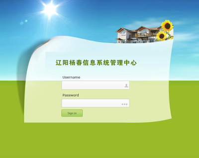 遼陽楊春丨遼陽大乘實業網站制作及信息系統運行維護服務項目需求分享